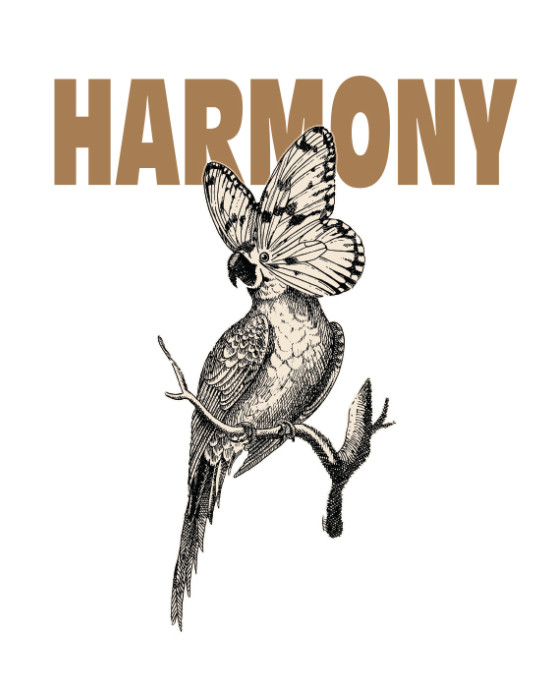 TATOO HARMONY TEE TAT125TB1-2020